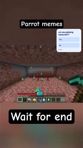 minecraft parrot memes 😂😂😂 #minecraft