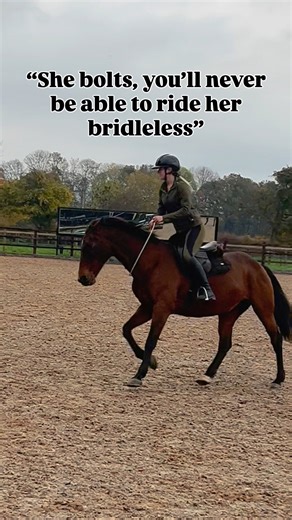 I’ll be honest and say I was a bit tentative about taking Bambi bridleless for the first time - she’s super chilled most of the time but those that know her know that she can be a sensitive girl and when she goes she REALLY goes 🙈 But she absolutely blew me away yesterday 🥹 It isn’t perfect yet, she was a bit behind the leg because for obvious reasons I didn’t want to sharpen her off my aids on that particular day 🤣 She worked through all of her dressage and new western work - walk, trot, can