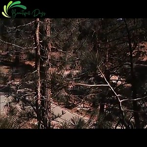 3.1K views · 235 reactions | Episode 2 - THE FIRST DAY # 1. #TheWaltons #WaltonsFamily #WaltonsLove #WaltonsMountain #WaltonsForever #WaltonsFans #WaltonsClassic | Edgar Flores | Facebook