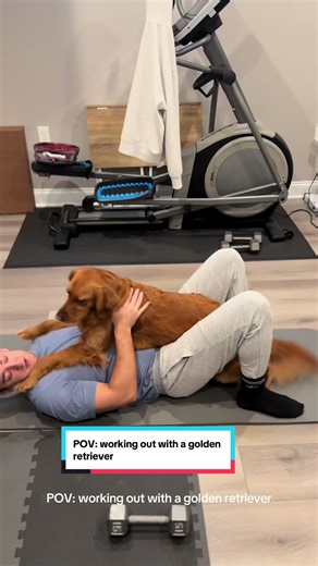 Working Out with a Golden Retriever: A Hilarious Challenge