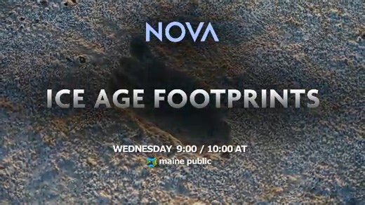 Ancient footprints in New Mexico's White Sands National Park reveal new evidence of Ice Age humans that walked the land alongside enormous ground sloths and mammoths—thousands of years earlier than archaeologists thought people were in the Americas. "Ice Age Footprints" on NOVA l PBS tonight @ 9:00 on Maine Public TV. https://video.mainepublic.org/video/ice-age-footprints-dxfbvp/ | Maine Public | Facebook