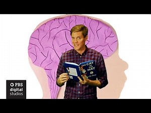 This Is How Your Brain Grows