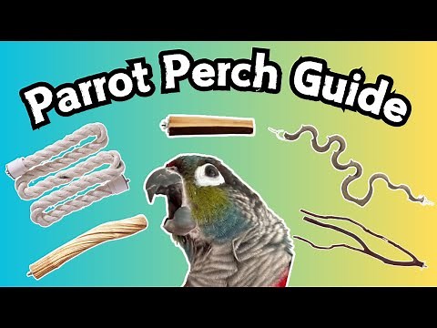 Parrot Perch Guide | Complete Guide To Bird Perches | TheParrotTeacher AD