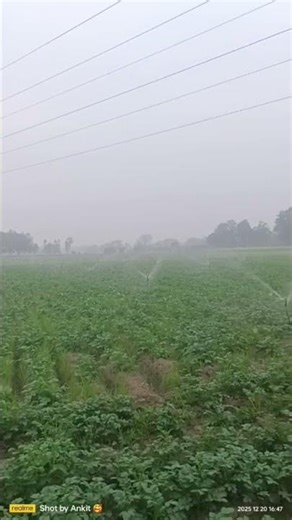 Mini Sprinkler System #realagriupdates #farming #minisprinkler #minisprinklersystem