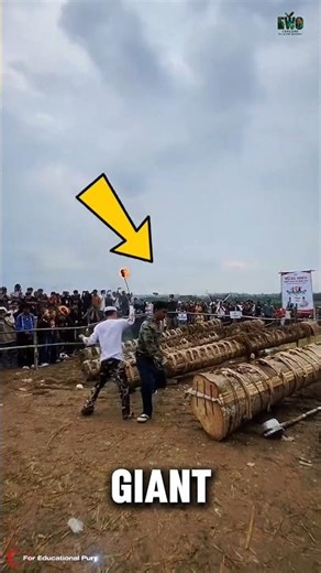 This Giant Wooden Cannon Blows Like Dynamite—and It's Just a Log. #documentary#usashorts#fyp