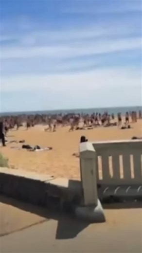 Chaos breaks out on Mordialloc beach