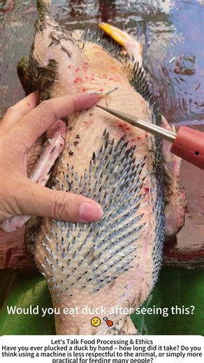 Poultry Plucking in Action – From Bird to Bare in Seconds 🦆⚙️