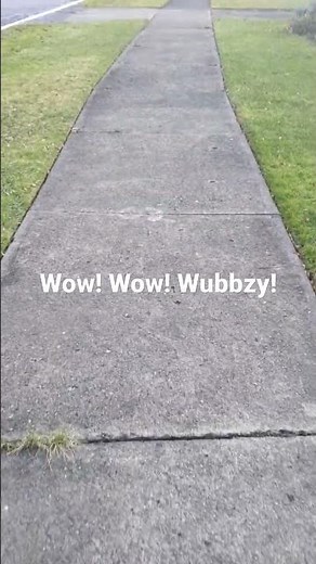 Wow! Wow! Wubbzy! - Intro Song