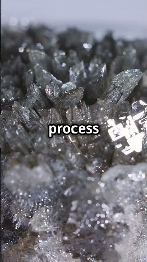 How Fossils Formed? | Giology #2amblt