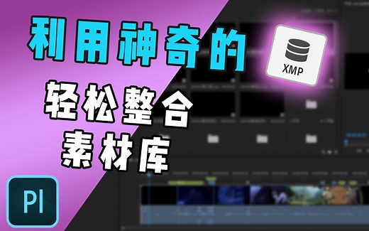 【光速学Pr】链接类 — 了解XMP 轻松整理庞大素材库！