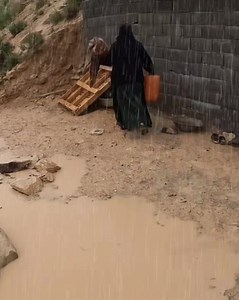 Let the plants find new life in the soft afternoon light, and our peace comes from their care.— feeling happy.#fblifestyle | Grandma Page