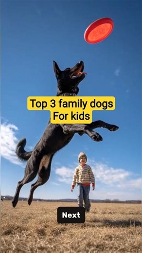 Best Family Dogs for Kids| Golden Retriever, Labrador & Beagle – Perfect Childhood Companions #short