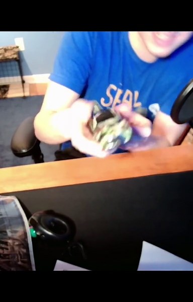 The worst mice in the world! They were so hard to play on (a video of)