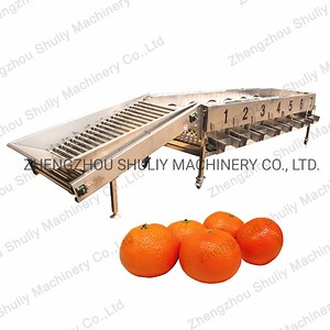 [Hot Item] High Efficiency Tomato Sorting Machine Orange Grading Machine Lemon Roller Classifier