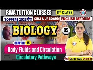 Class 11 Biology Chapter 15 Body Fluids and Circulation | Circulatory Pathways | 11th Biology By RWA