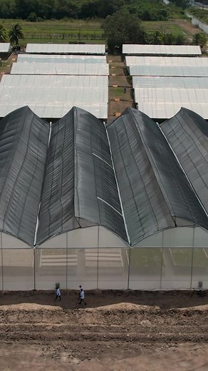 16K views · 610 reactions | Investing in sustainable agriculture… #25by2025 #FoodSecurity #Agriculture #ValueAddedCrops #SmartFarming | President Irfaan Ali | Facebook