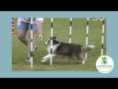 Weaves - Not Using Leads