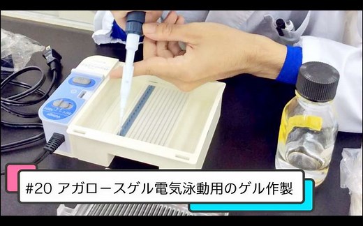 【おうちで学ぶ東京バイオ】#20 アガロースゲル電気泳動のゲル作製 | 東京バイオテクノロジー専門学校