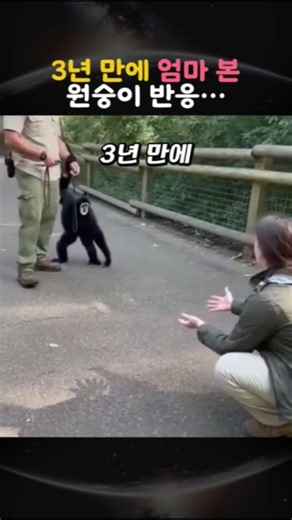 How a monkey reacts to seeing its mom after 3 years