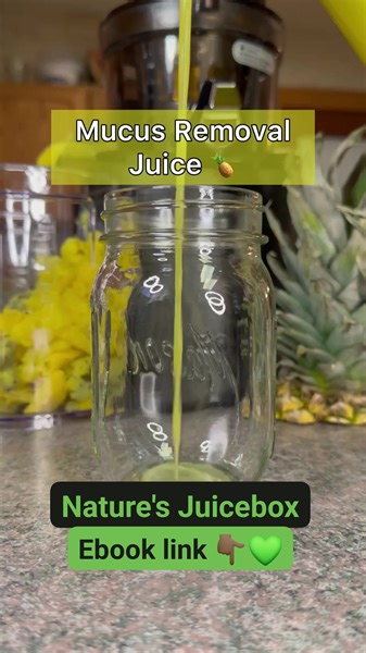 https://naturesjuicebox.gumroad.com/l/naturesjuiceboxebook Nature's Juicebox #juicing #juice #detox #fypシ゚ #healthylifestyle #juicecleanse #healthy #plantbased #health #juicingforhealth #healthyfood #coldpressedjuice #greenjuice #organic #freshjuice #wellness #cleanse #smoothie #fresh #weightloss #healthyliving #juices #healthyjuice #smoothies #fruit #juicedetox #fitness #healthiswealth #juicingrecipes #juicingforlife | Nature's Juicebox