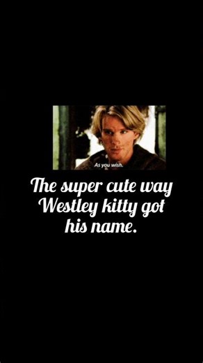 #theprincessbride but make it #cats 😻