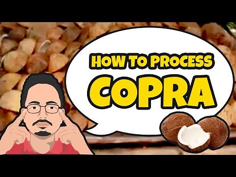 How to Process Copra (Paano Mag-kopra) by Mang Andy
