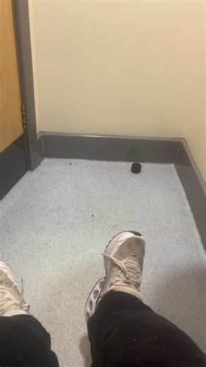 mince pie vr (@pancake_vr95)’s videos with original sound - mince pie vr