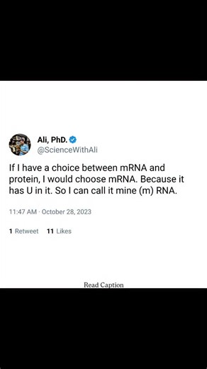 Ali -PhD || PU 🇮🇳 on Instagram: "mRNA (messenger RNA) acts as the essential intermediate between genetic information stored in DNA and the proteins that carry out cellular functions. Through transcription, a specific DNA sequence is copied into mRNA, which carries a complementary nucleotide code. This mRNA strand then travels from the nucleus to the ribosome, where it serves as a template for protein synthesis. During translation, ribosomes read the mRNA in sets of three bases called codons, e