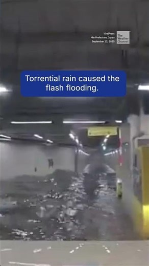 Daring Flood Escape In Japan