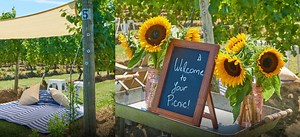 North Fork Crush Wine & Artisanal Food Festival | Crush Wine Experiences