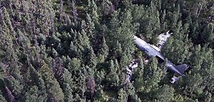 奇跡の生還：すべての乗客が生存していた9の飛行機墜落事故 | カラパイア