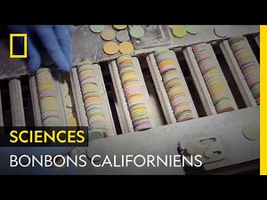 Une délicieuse explosion de saveurs sucrées à Boston | FOOD FACTORY USA