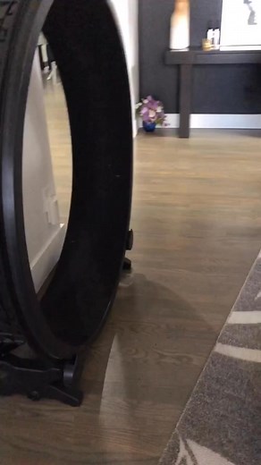 Ellie shading mom! 😂 #letsworkout #workout #workoutroutine #catwheel #princessEllie #imitatingmom #badgerdot #fosterfail #hiitworkout | Ellie