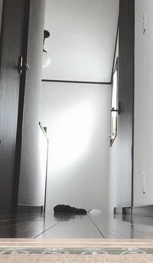 オリジナル楽曲雨穴を使っている雨穴 (@uketsu)の動画