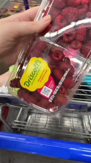 How I Saved Big with Sam's Club's Secret Program