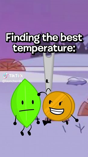 Firey Leafy BFDI Transformation Explained