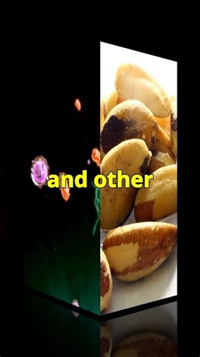 Boost Your Immunity with Brazil Nuts! 🌰