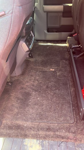 Mobile Detailing: How to Remove Heavy Dog Hair Quickly