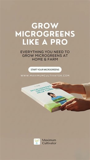 Perfect Microgreens Every Time 💧 | Grow Like a Pro!