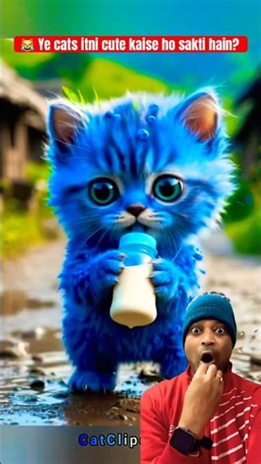 Cute Fruit Cats 🍓🍌 | Dudi Dudi Dum AI Dance 😹