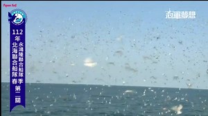 13K views · 944 reactions | CHAMPIONSHIP MARATHON - Taiwan Pigeon Race 2nd Stage Approximate Distance: 210km April 16, 2023 @ 7am Released. GOOD WEATHER TODAY! GOODLUCK Participants! #passion4pigeon #pigeonkuif #pigeonsport #racingpigeons | Pigeon Kuif | Facebook