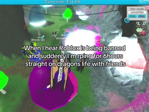 Roblox Roleplay and Nostalgia: A Dragon Adventure