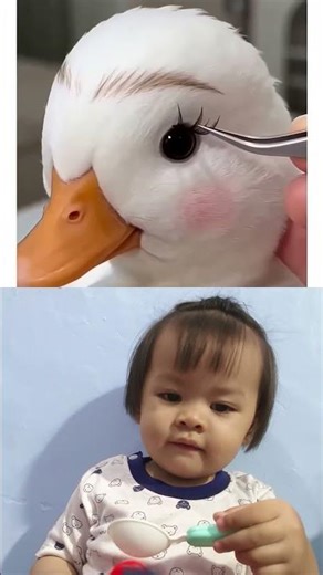dress up duck #funnybaby