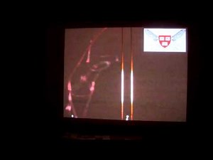 Bots That Mimic Bugs: Part 1.2