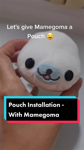 Pouch Installation with Mamegoma