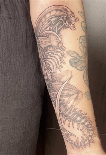 heather.tattoos on TikTok