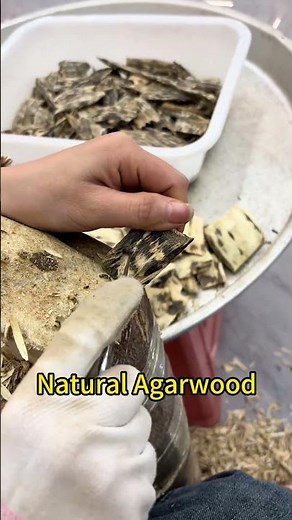 Natural Agarwood with Rich Resin | Every Slice Tells a Story