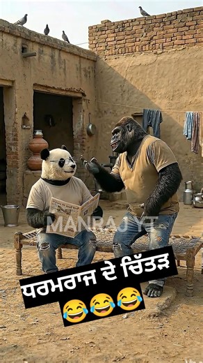 Gorilla and Panda funny part 30 | MANRAJ YT | #comedy #punjabicomedy #punjabi #punjabidubbing