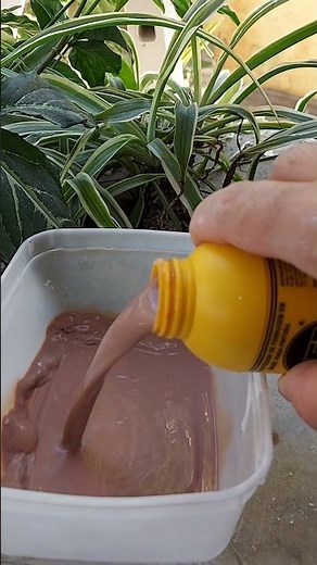 Convertedor de ferrugem