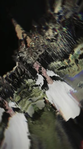 Custom Car Stickers for Personalizing Your Vehicle